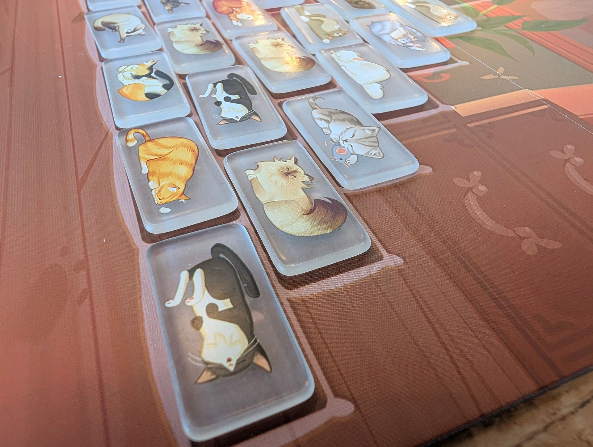 purrramid placing in the game board