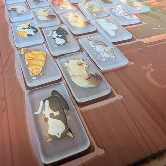 purrramid placing in the game board