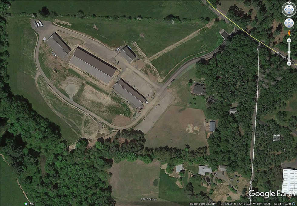 Maianna Stables