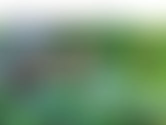 2021年カレンダー発売決定
