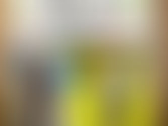 2024年12月の対馬市の広報誌「広報つしま」は必見!