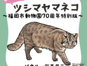 福岡市動物園でツシマヤマネコ祭り