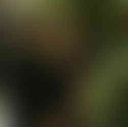 Engaged couple standing in front of a greenery wall in Downtown Minneapolis