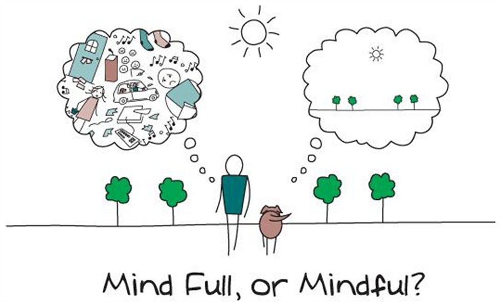 Mindfulness & Compassion