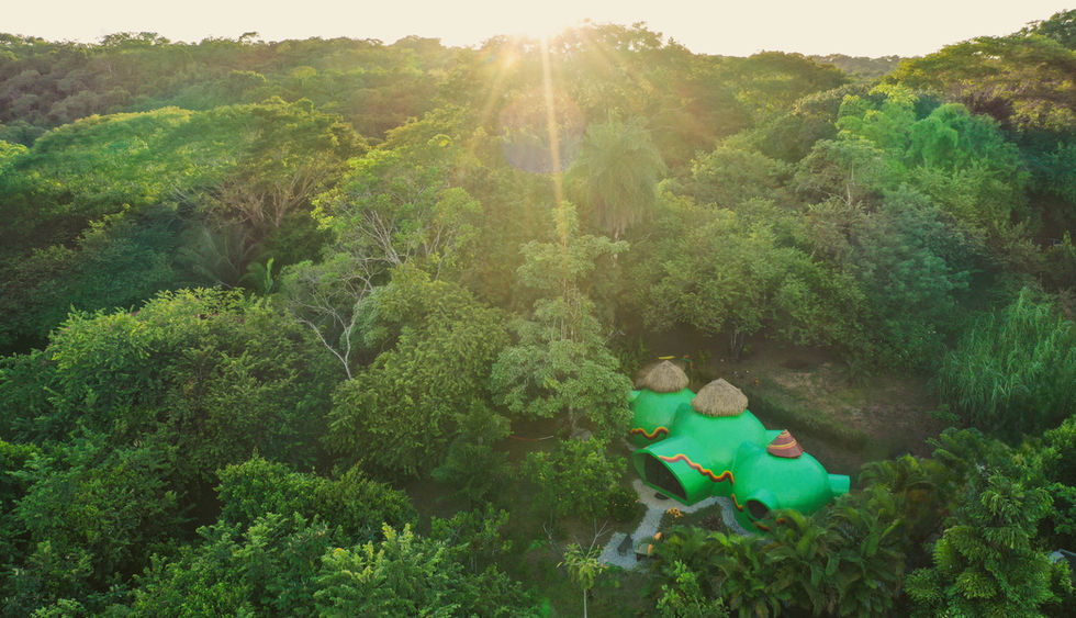 sunset in the jungle with a dome house