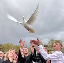 White Dove Release