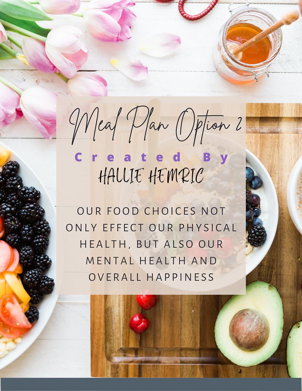 Balanced Meal Plan Option 2 - 4 Weeks