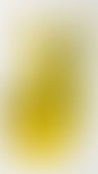 A foam sports fan hand with two fingers raised in a peace sign instead of one, bright yellow foam material, the text 'Fans Are #2' printed in bold block letters on the front of the fingers, stadium event photography style, white background, product shot