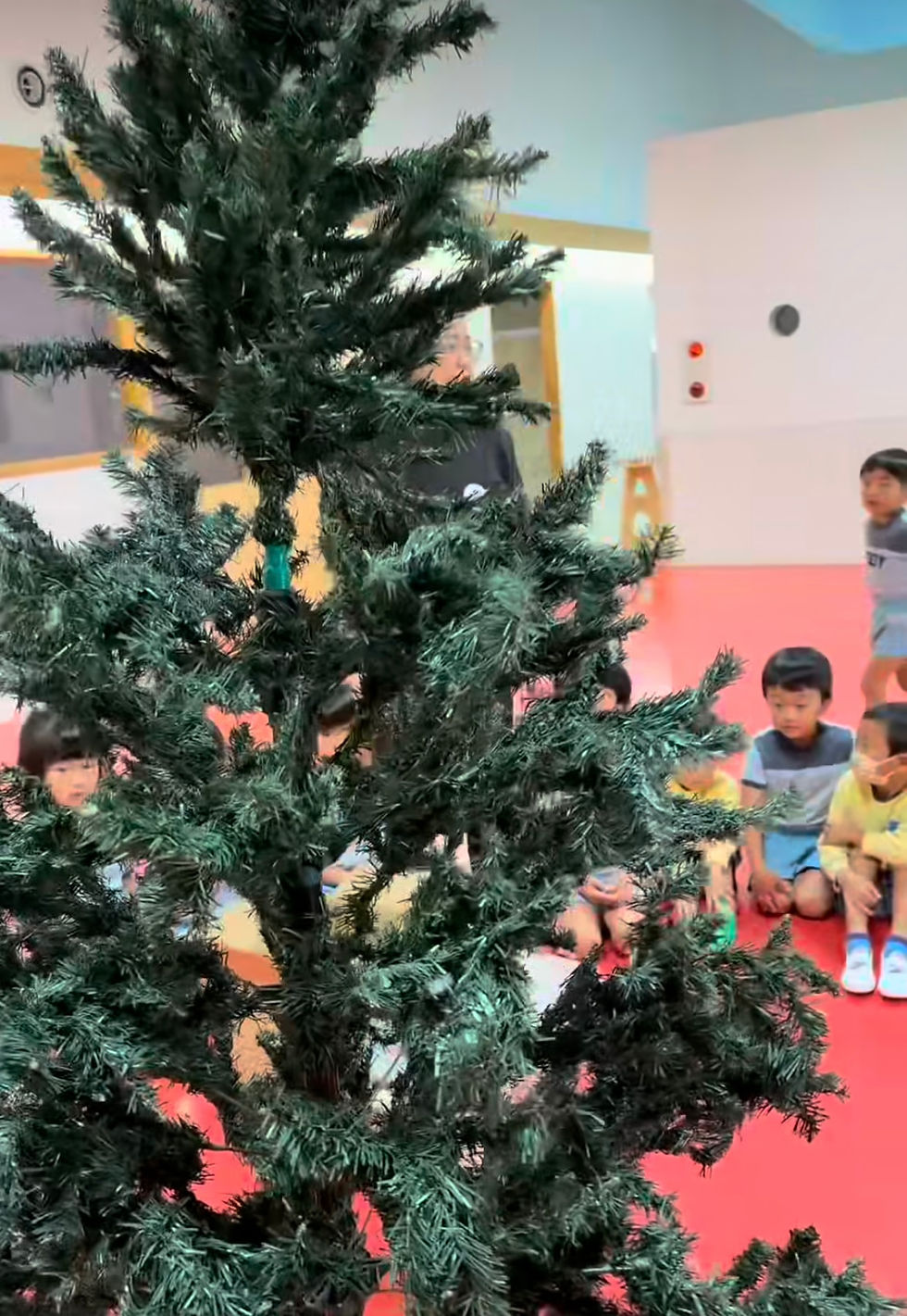 メリークリスマス🎄