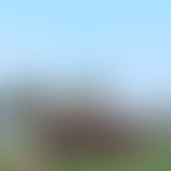 5園合同スポーツフェスタ