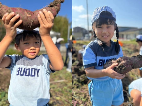 お芋掘り🍠焼き芋会