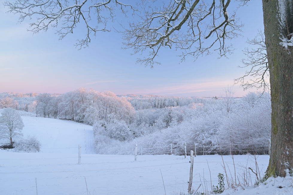 Blauer Himmel im Schnee