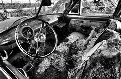 Desolation project, #5