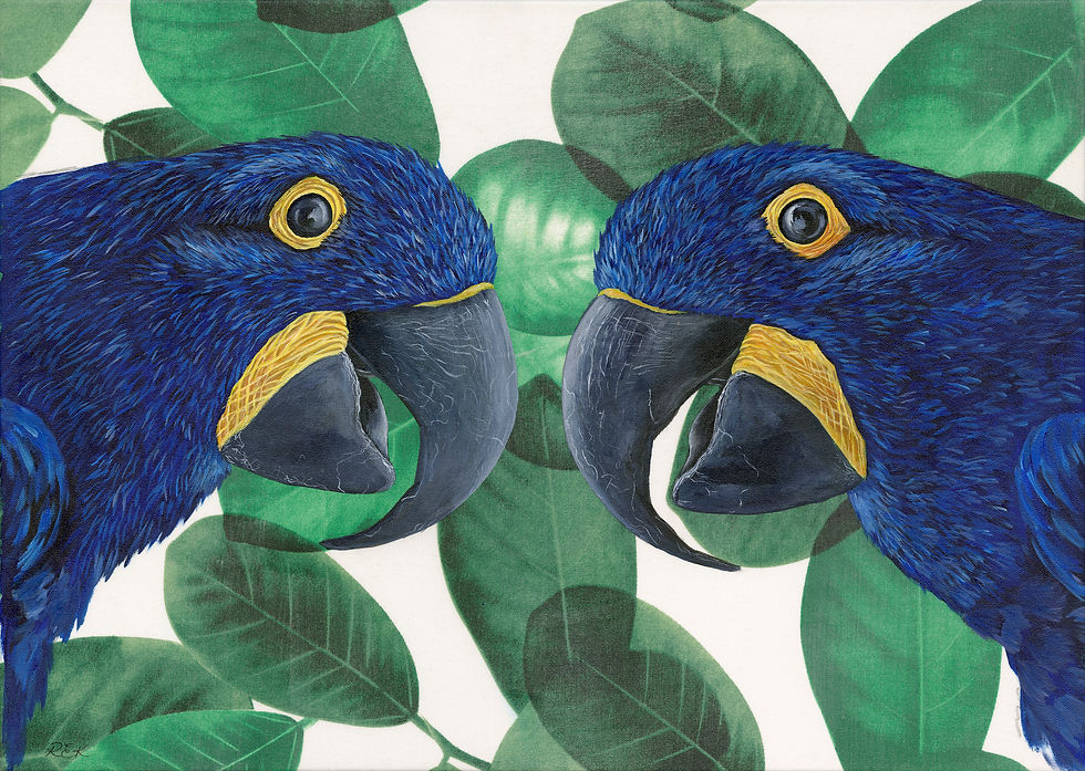 Introspective Shadows greeting card