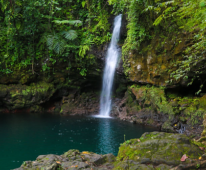 Afu W Falls
