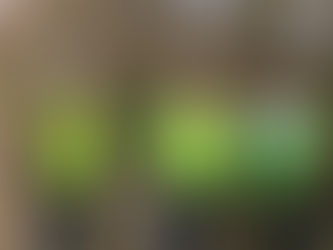 Mardi 5 décembre - Gis Sol (*)