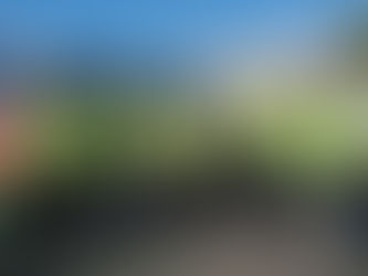 Samedi 24 janvier - Merci pour cette crevaison