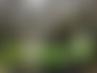 Mardi 20 janvier Êtes-vous triskaïdékaphobe ? suivi de Le bistrot ou le logis XVe ?