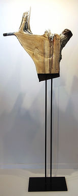 Specimen G (Split).jpg