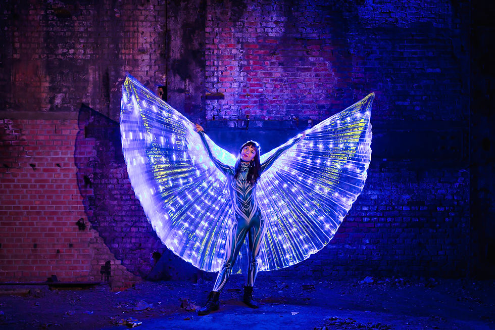 Soirée de clôture de Dinant Lumière - Spectacle « La Fée aux Cerceaux Lumineux » par Sianaflow