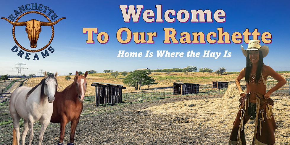 Cowgirl with two horses at a Texas ranchette. Welcome to Our Ranchette Dreams