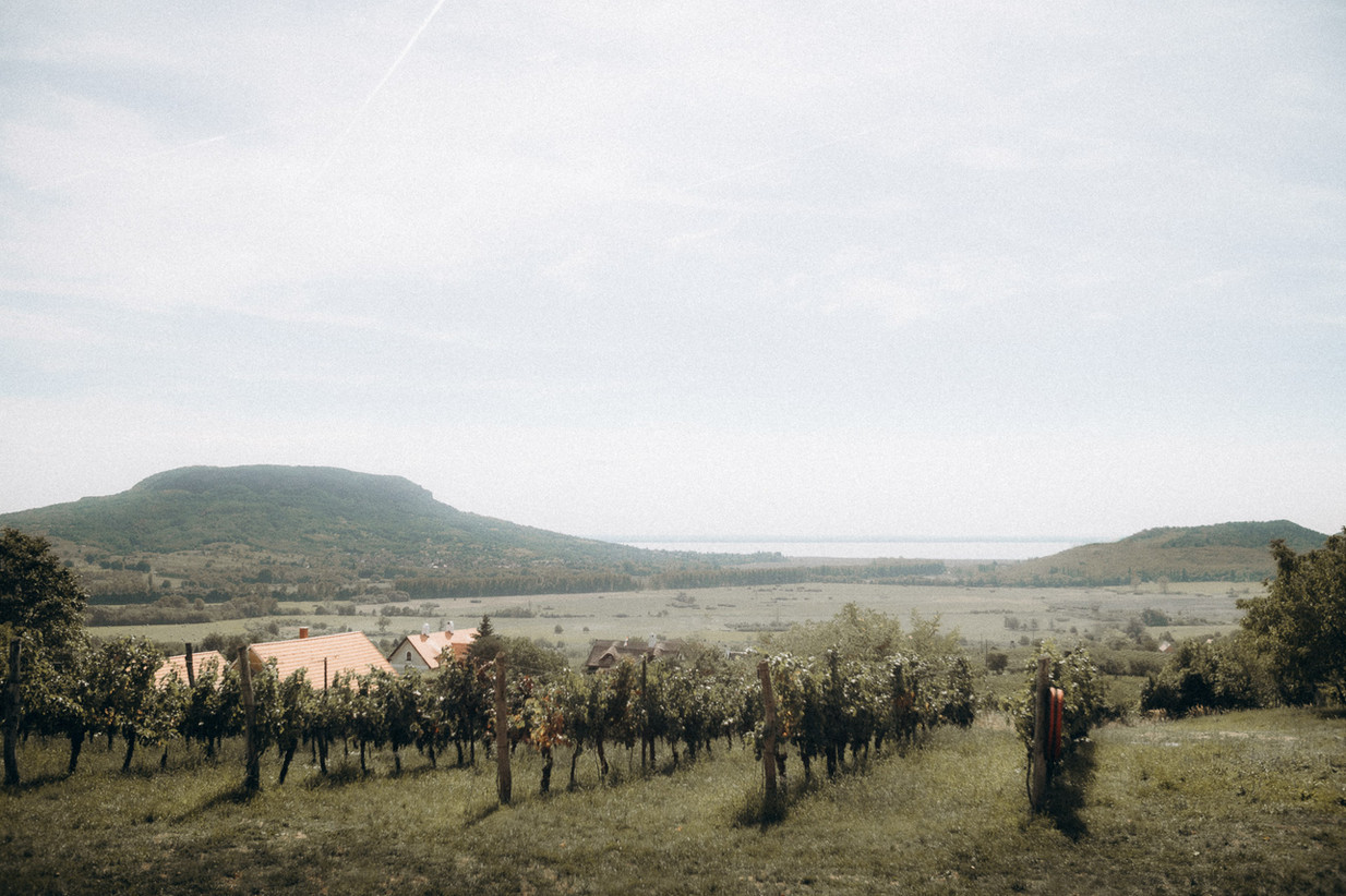 Soft Light Visuals - Esküvői fotózás Balaton, esküvői fotós budapest, Daalarna menyasszony