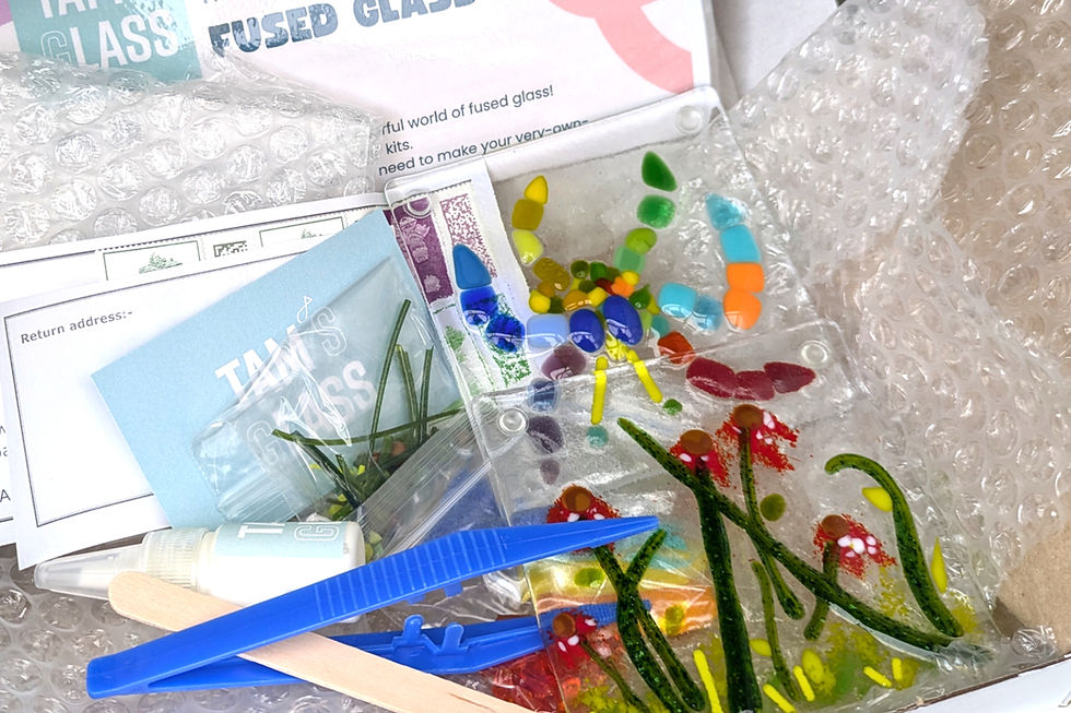 Fused glass kit with colorful glass pieces, Tam's Glass, ready for crafting