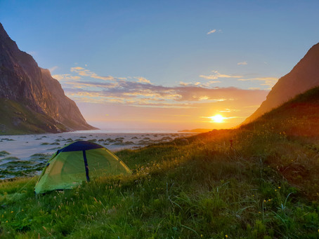WILD NORWAY