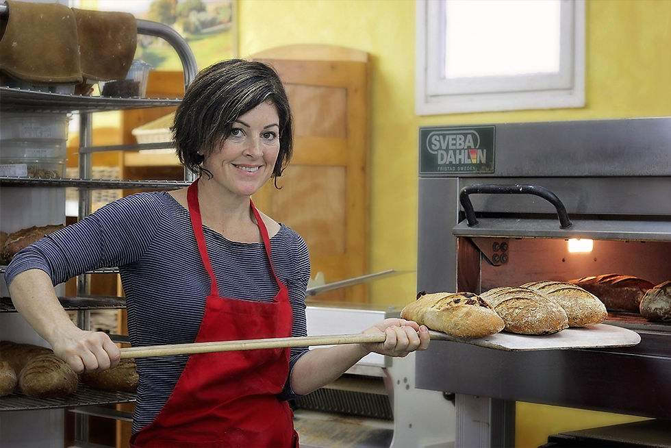 שאור מאפיה בית העמק