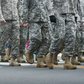 Calling All Veterans