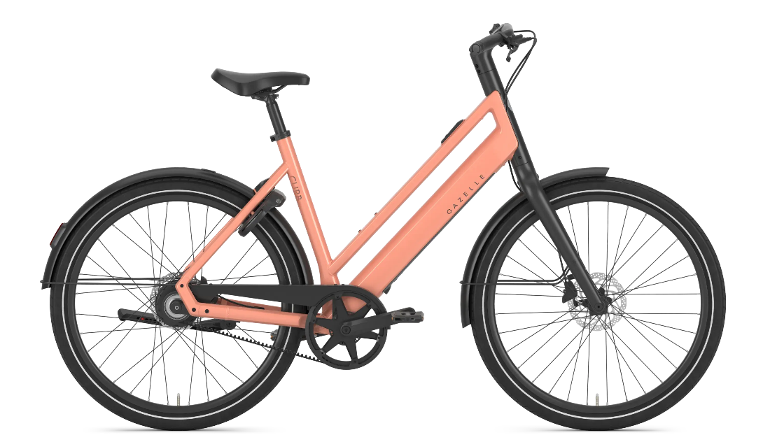 Gazelle Curb C1