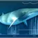 Low-cost AI system listens to whales using earthquake monitoring gear