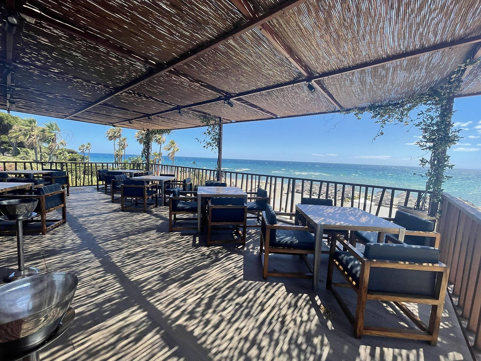 Tranquil ocean view from the shaded terrace of Salduna, featuring cozy seating and swaying palm trees under a clear blue sky.