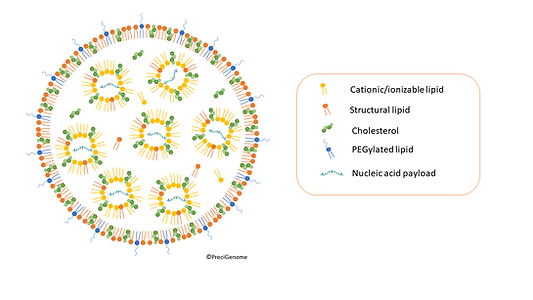 lipid nanoparticle structure