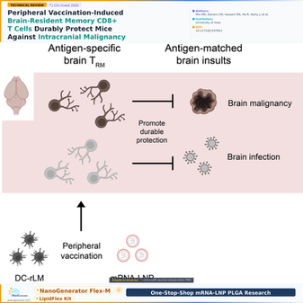 Peripheral mRNA-LNP Vaccination Generates Protective Brain-Resident Memory T Cells Against Intracranial Tumors