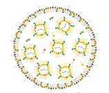 Lipid nanoparticle LNP
