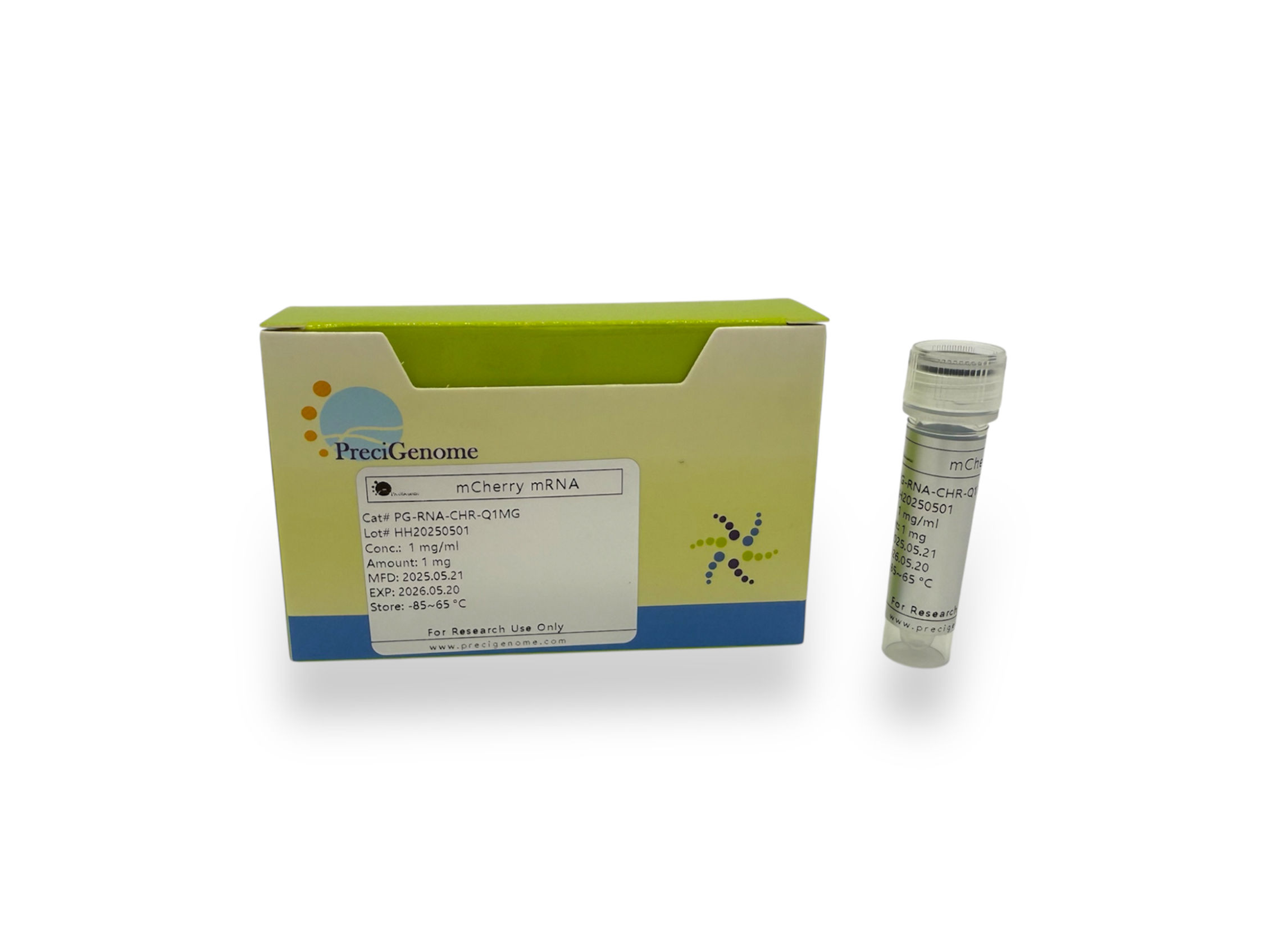 mCherry mRNA (m1Ψ, Cap1)