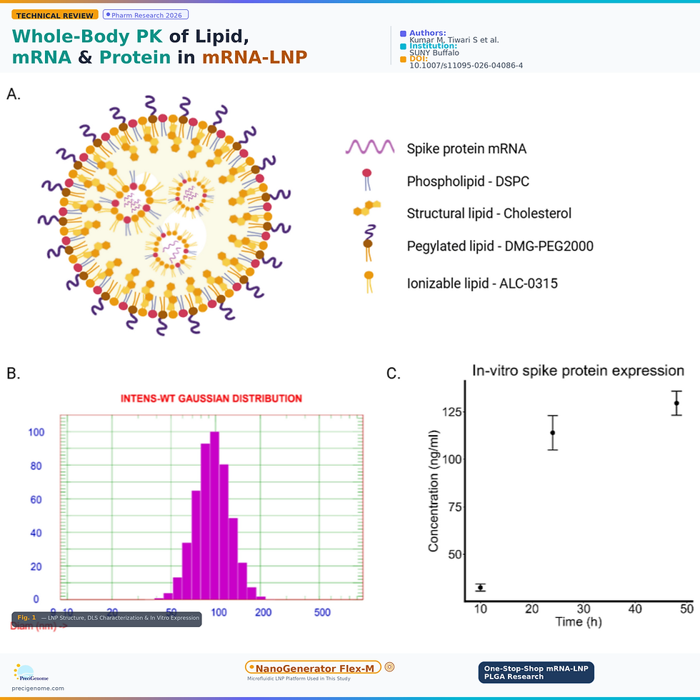 Whole-Body Pharmacokinetics of Lipid, mRNA and Translated Protein Following Intravenous Administration of Spike Protein Expressing mRNA-LNP in Mice