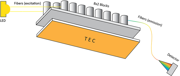 Fast 16 system diagram qPCR
