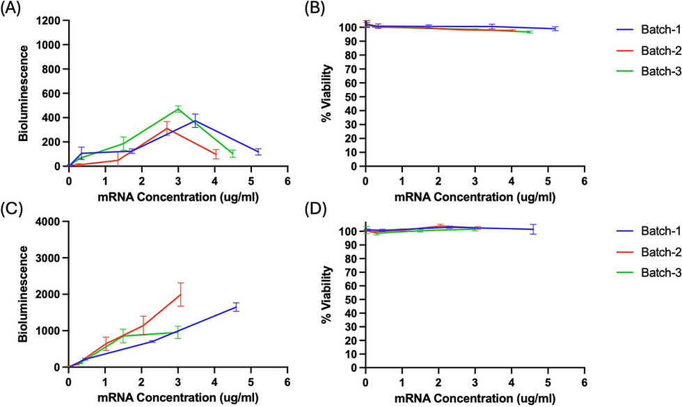 Figure 2: mRNA-LNP transfection results in L-929 and HEK 293T adherent cell lines showing bioluminescence and viability