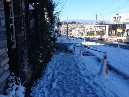 今年も宜しくお願い致します。