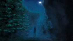 Midnight Dream
