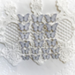 Butterfly Kisses Fairy Dust Silver Single Side Printed Butterflies
