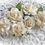 Thumbnail: White Roses,Gardenias & Leaves Mulberry Flowers