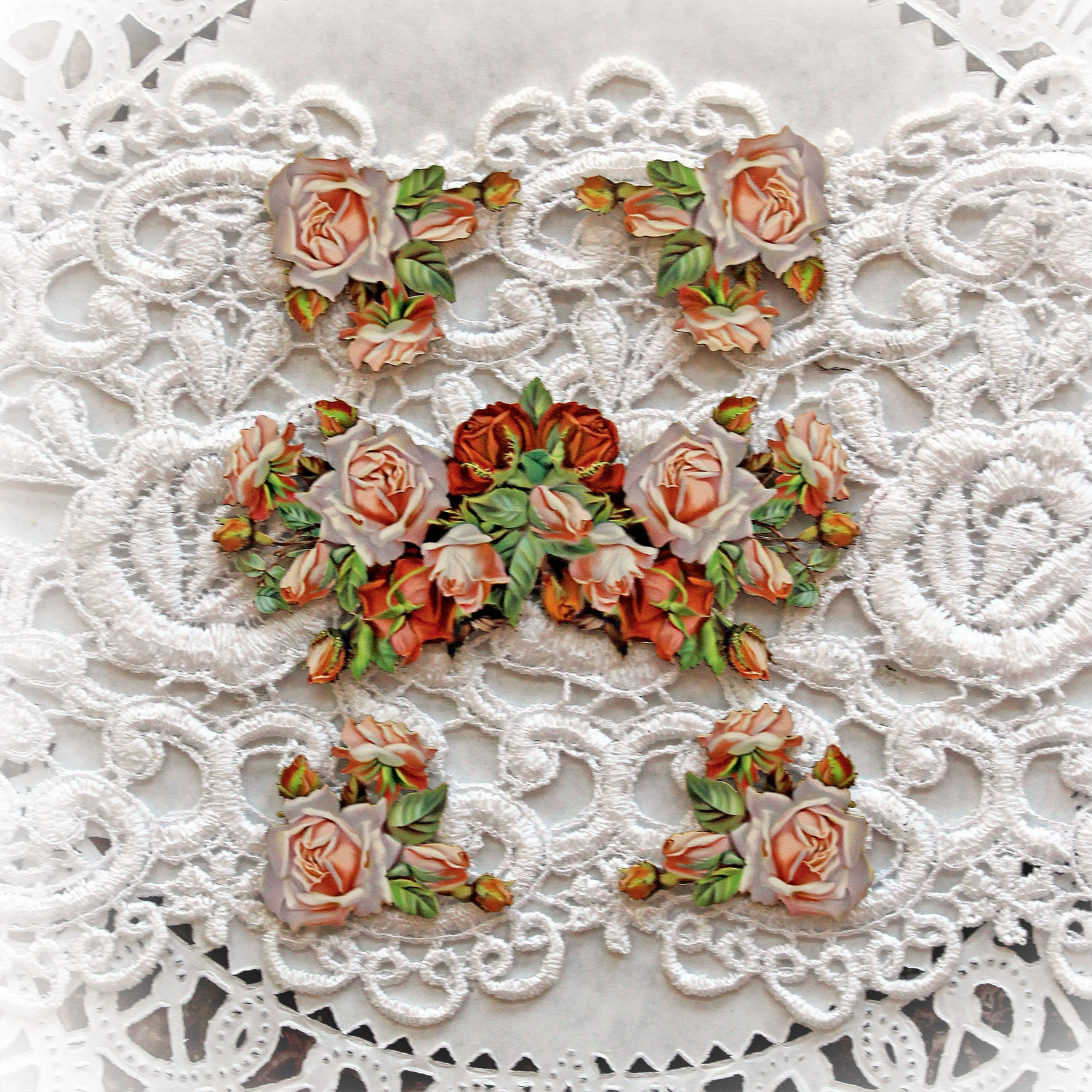 Printed Beautiful Board Romance And Roses Peach Rose Tuck Ins