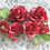 Thumbnail: Red Currant Roses & Leaves Mulberry Paper Flowers