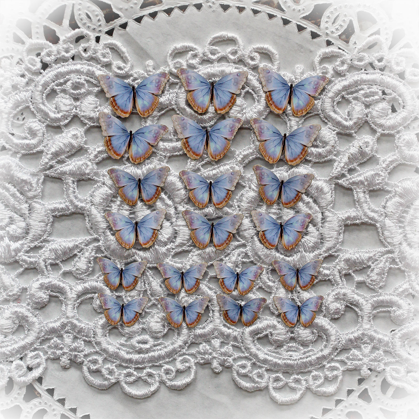 Butterfly Kisses Spun Lavender Single Side Printed Butterflies