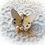 Thumbnail: Sweet Dreams Premium Paper Butterflies In Buttercream
