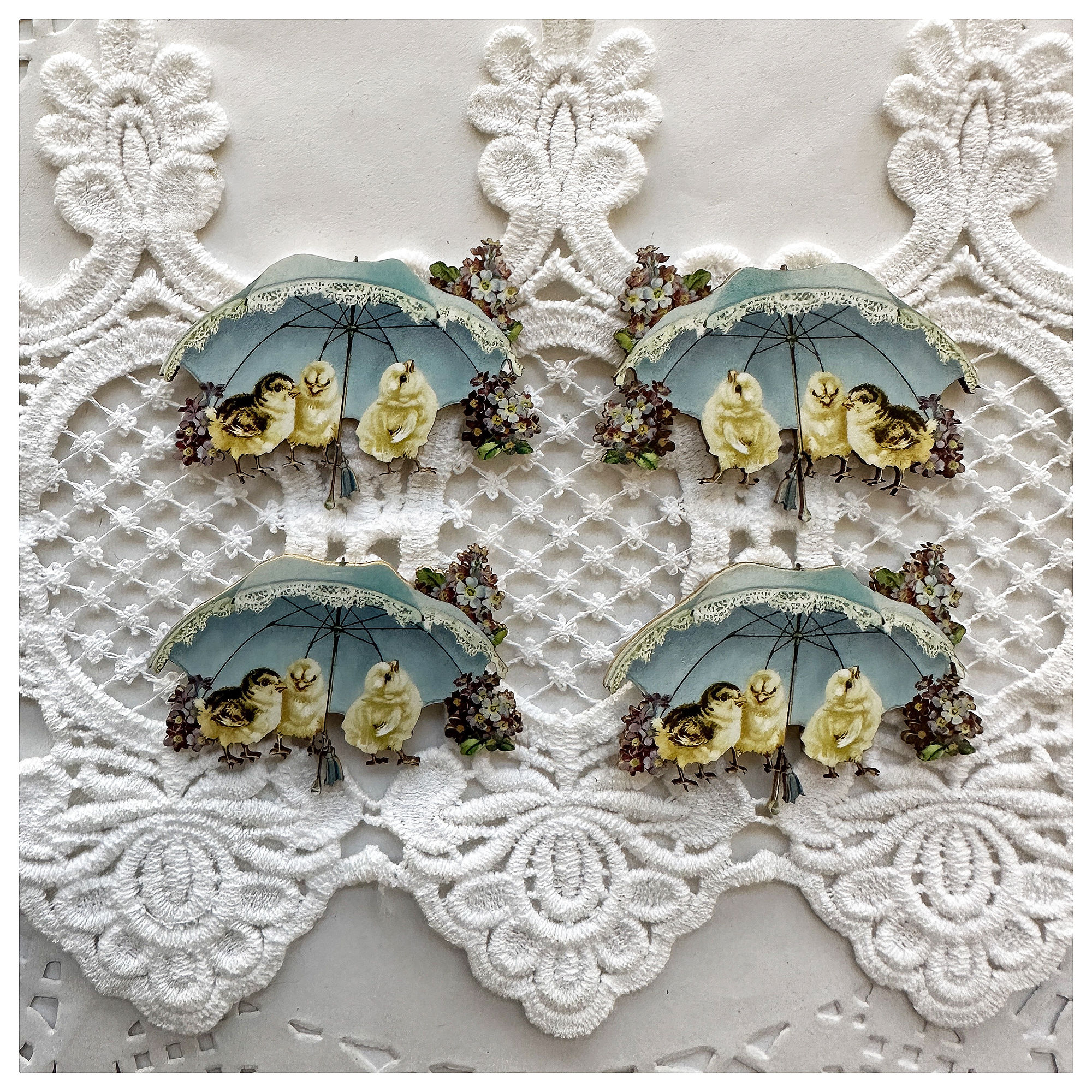 Itty Bitty Printed Beautiful Board Umbrella Chicks