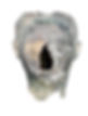 HEAD.JPG